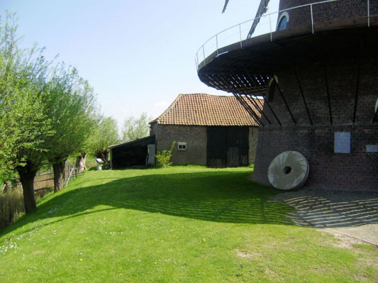 121.jpg