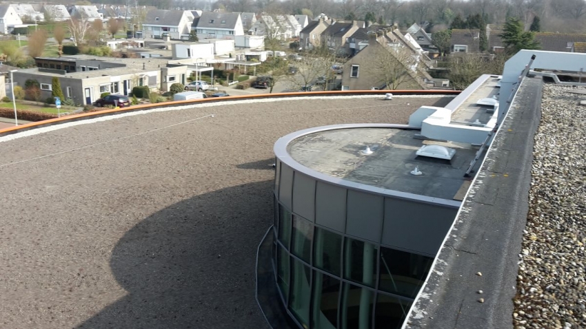 20150323_143424.jpg