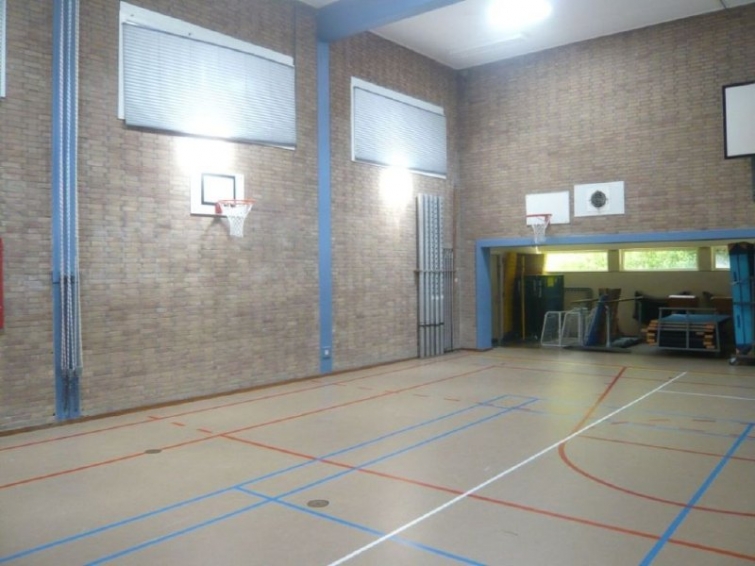 9b.jpg